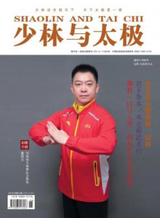 少林与太极